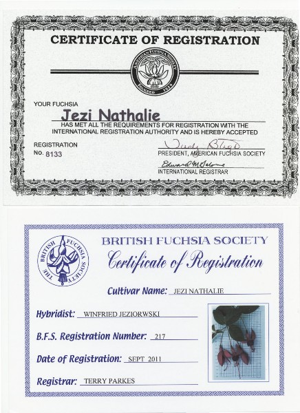 Jezi Nathalie---certificate.jpg